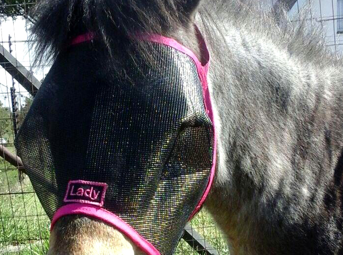 Fly Mask - Plain XXXS-XXL