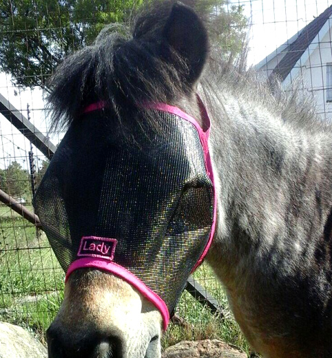 Fly Mask - Plain XXXS-XXL